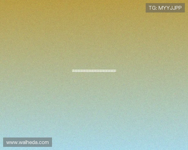 竞博体育用户评价与口碑分析：真实用户体验助你做出明智选择