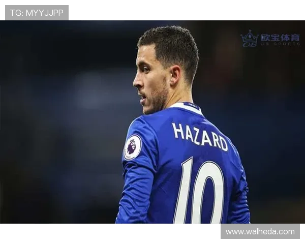 欧宝体育官网登录最新版本更新内容介绍提升登录体验的实用技巧与建议