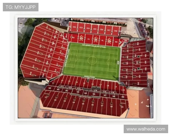 选择B体育旗舰厅享受专业的体育赛事分析和实时比分更新带来极致的观赛体验