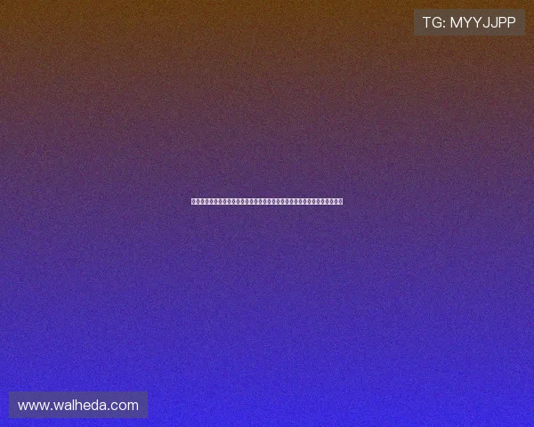 开云体育官网登录入口安全性分析，保障用户个人信息与账户安全的实用技巧